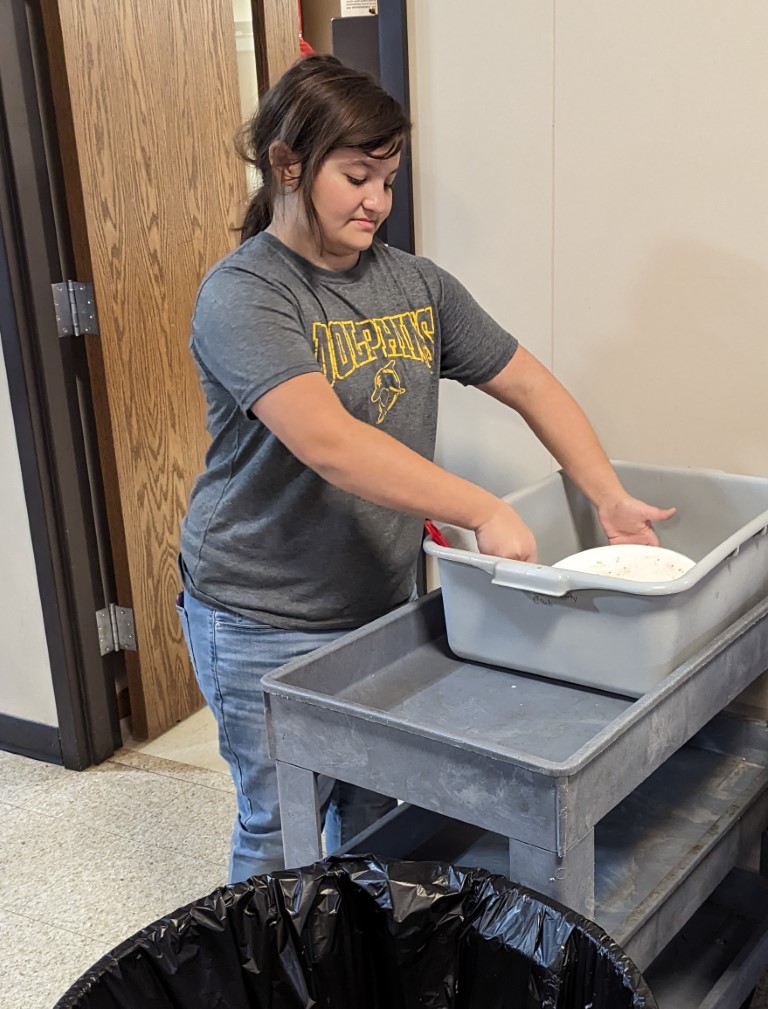 Cleaning plates
