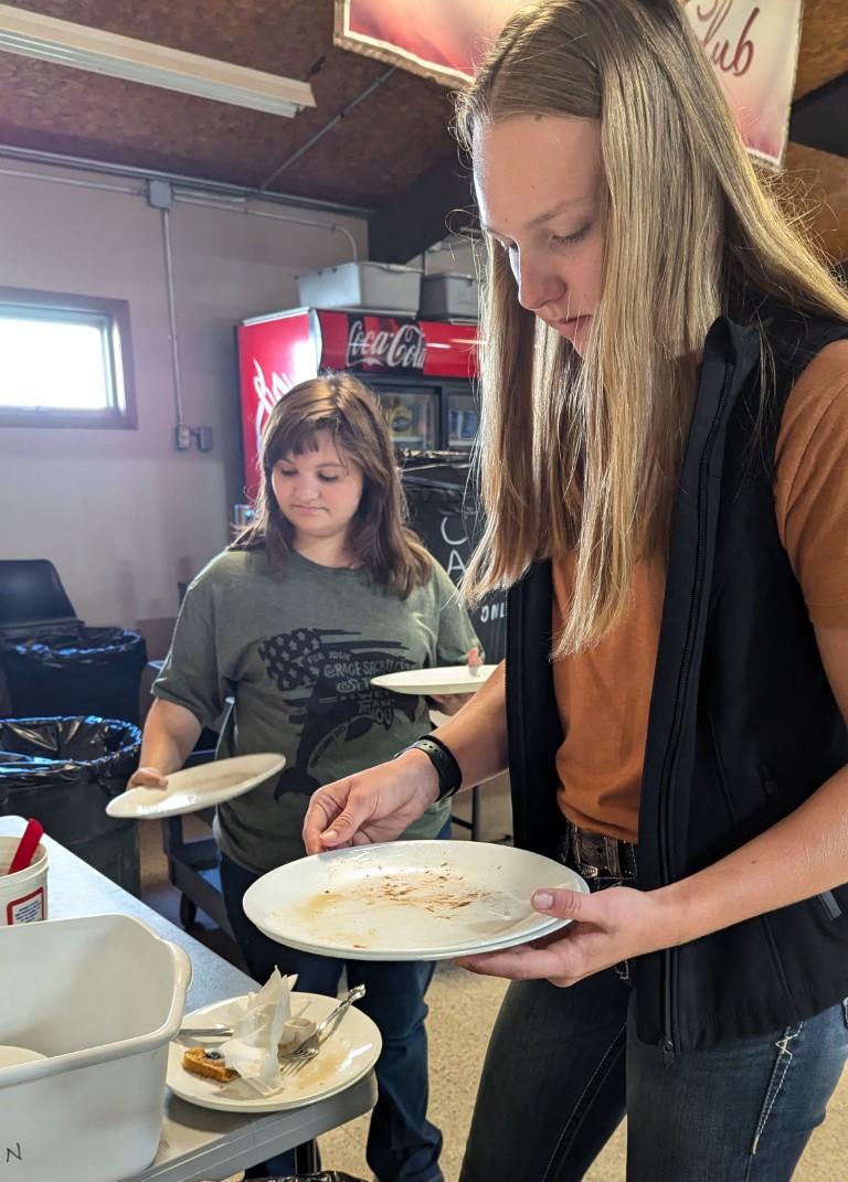 Cleaning plates